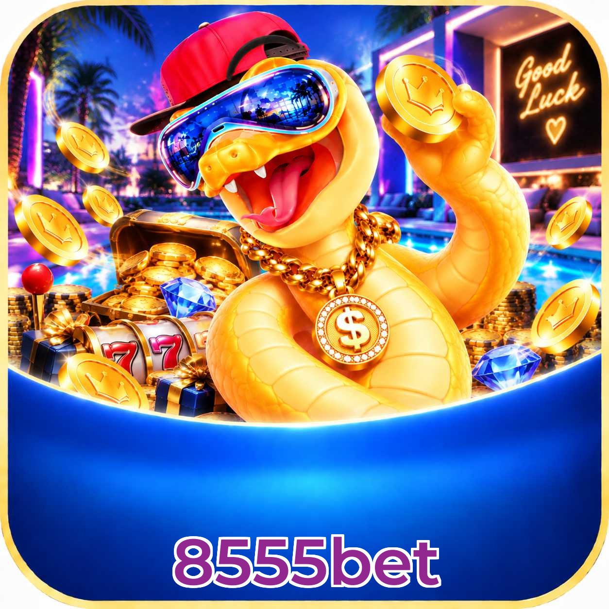 8555bet Interface