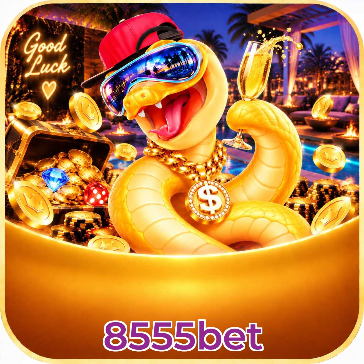 8555bet App Features