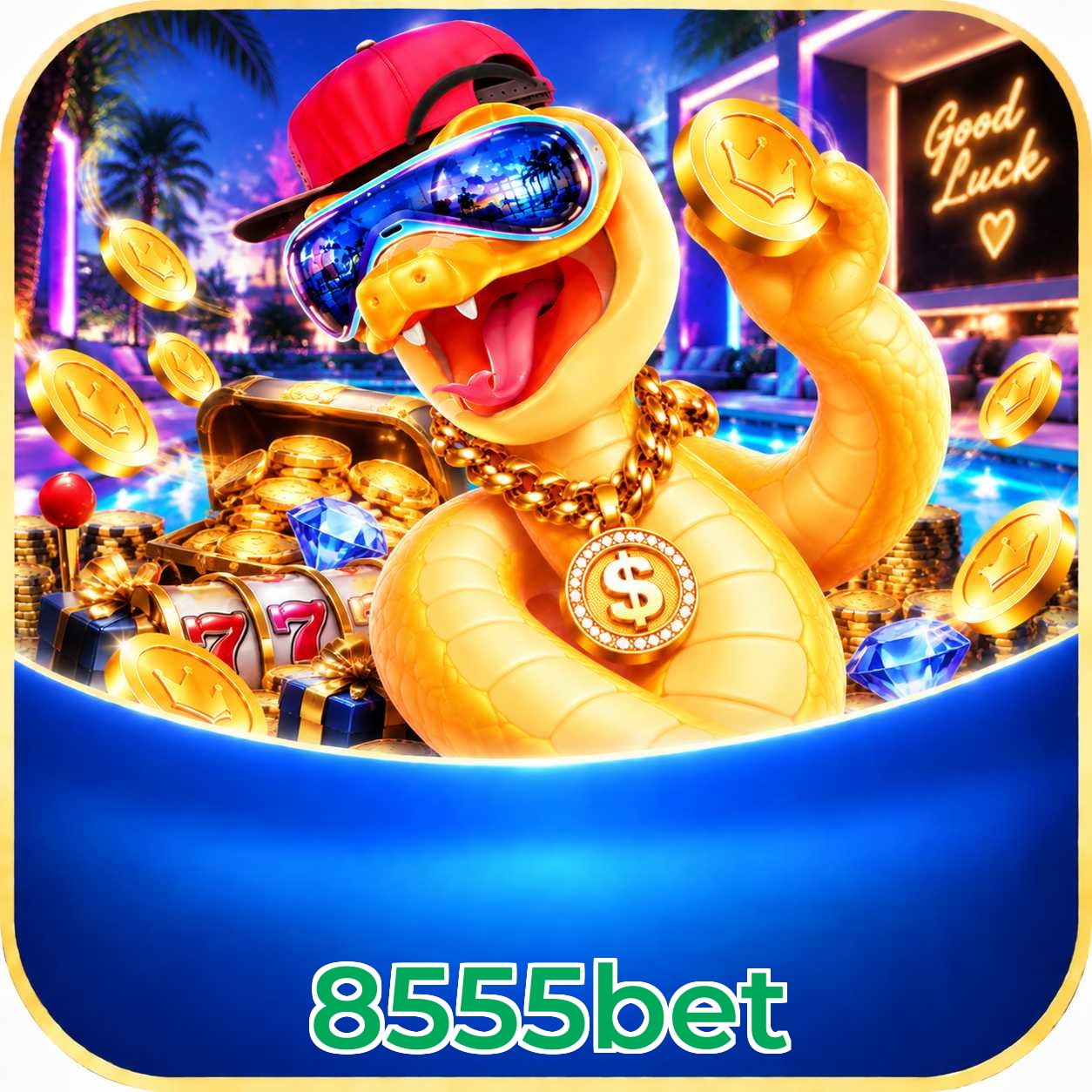 8555bet Game Stats